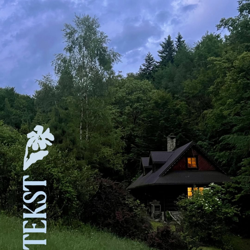 Open call na rezydencję artystyczną w Chacie Pracy Tw&oacute;rczej w Gościejowie - Grupa Mosaic